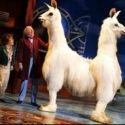 DR. DOLITTLE Now Available for License through MTI