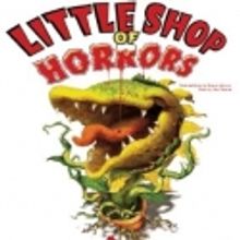 Blue Hill Troupe presents LITTLE SHOP OF HORRORS, 11/12-11/20