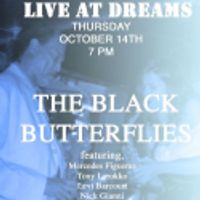 The Black Butterflies Perform Live at Dreams 10/14 Video