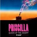 BWW Special: Chatting with the Creative Forces Behind PRISCILLA!