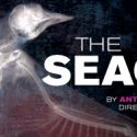 Robert Falls, Mary Beth Fisher, et al. Hold Talkback for THE SEAGULL at Goodman…