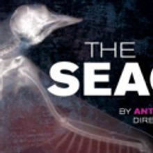 Robert Falls, Mary Beth Fisher, et al. Hold Talkback for THE SEAGULL at Goodman Theat