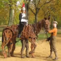 Photo Flash: WAR HORSE Launchs Olympia Horse Show in Hyde Park