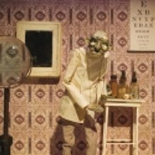 BWW Reviews: Puppets! At HERE! Phantom Limb Presents THE FORTUNE TELLER