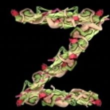 Victor Faccinto: Three Decades Exhibition Runs 11/20-1/15