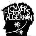 FLOWERS FOR ALGERNON Opens 11/11 at Tallmadge High School