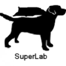 Clubbed Thumb And Playwrights Horizons Launch SuperLab Today, 11/12