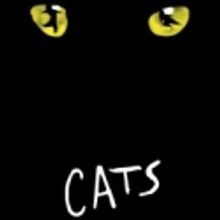 Theo Ubique Cabaret Theatre’s CATS Opens 11/21