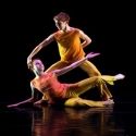 The Hartt School Presents Hartt Dances, 11/19 - 11/21