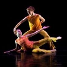 The Hartt School Presents Hartt Dances, 11/19 - 11/21