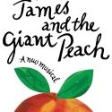 Actress Injured During JAMES AND THE GIANT PEACH