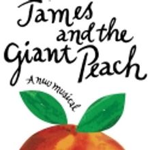 Actress Injured During JAMES AND THE GIANT PEACH