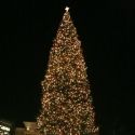 Photo Coverage: Christamas Tree Lighting Celebration with DWTS' Mark Ballas, Peabo…