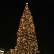 Photo Coverage: Christamas Tree Lighting Celebration with DWTS' Mark Ballas, Peabo…
