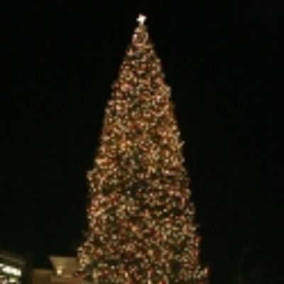 Photo Coverage: Christamas Tree Lighting Celebration with DWTS' Mark Ballas, Peabo Bryson, Warren, et al. 