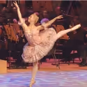 Holiday Shows Make Things Merry in Orange County!