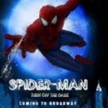 SPIDER-MAN Takes in 1M Since First Preview 