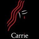 CARRIE to Hold Developmental Lab at MCC, May 25–June 7
