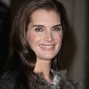 Shields, Balwin, Spector et al. Set for Feinstein's 2011 Winter/Spring Season