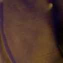 BWW Reviews: LANZA, The Kings Head Theatre, December 16 2010