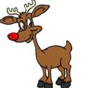 White Reindeer Named "Lightning' at Staten Island Zoo