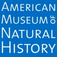 American Museum of Natural History Open To Public 1/1, Two Attractions To Close 1/2