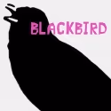 Silver Spring Stage Presents BLACKBIRD, 1/7-29