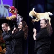 Irvine Barclay presents West Coast Premiere of STUFFED & UNSTRUNG, 12/29-1/2