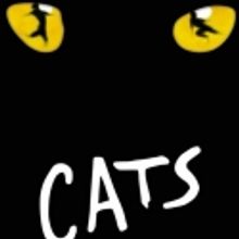 Musical Theatre West presents 'CATS' 2/11-27