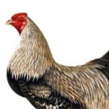 Next Stage Theatre Festival Features Works by Gunn, Duran, et al.