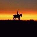 MOMA Presents Neil Diamond's Reel Injun