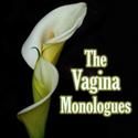 Silver Spring Stage Present VAGINA MONOLOGUES Benefit Performances 5/14-16
