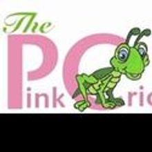 PinkCricket Youth Arts Center Hosts Grand Opening of its New Facility 6/1
