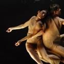 Guest Ensemble Hedwig Dances Marks 25th Season with Concert 6/5