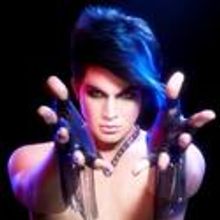 Adam Lambert Comes to Progress Energy Center 8/28