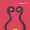 Amphibian Announces Toni and Bill Boecker as Chairs of Next Leap 2010