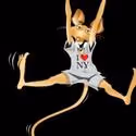 PCC Productions And TheatreRats Presents West Village Musical Theatre Festival…