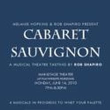Rob Shapiro Serves CABARET SAUVIGNON At Playwrights Theatre 6/14