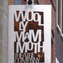 Woolly Mammoth Announces Alli Houseworth As Communications/New Media Manager