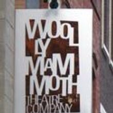 Woolly Mammoth Announces Alli Houseworth As Communications/New Media Manager