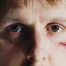 Pleasance Theatre Islington Announces Their Full Listings