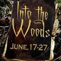 Rachel York Journeys INTO THE WOODS At Reagle 6/17-27