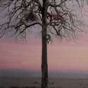 Dulcy Roger's I AM A TREE Opens At The Lillian Theatre 6/19