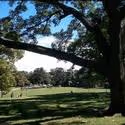 AOP Offers Free Opera In Fort Greene Park 6/21