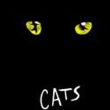 Toby's Dinner Theatre Announces CATS, BUDDY: The Buddy Holly Story And More