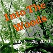 INTO THE WOODS At Actors' Net Of Buck's County Set To Run 7/9- 7/25