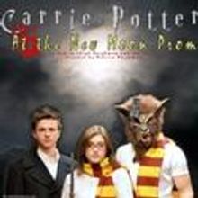 Landless Theatre Co Presents CARRIE POTTER AND THE NEW MOON PROM 7/10