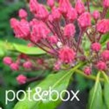 The New Theatre Project Announces Auditions For Season 1: Identity 7/26-27