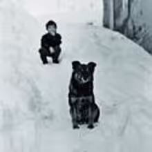 Soho Theatre and ATC Join For IVAN AND THE DOGS, Tour Begins Sept 29