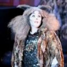 Photo Flash: The Muny Presents CATS
